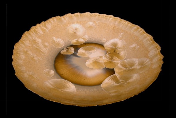 centrotavola1 600x403 Portfolio Gallery Only Example