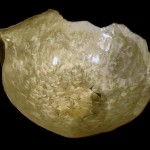 centrotavola4 150x150 Conchiglie