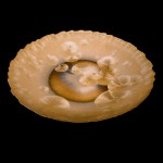 piatti 150x150 Centro Tavola 