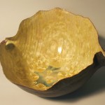scultura3 150x150 Conchiglie